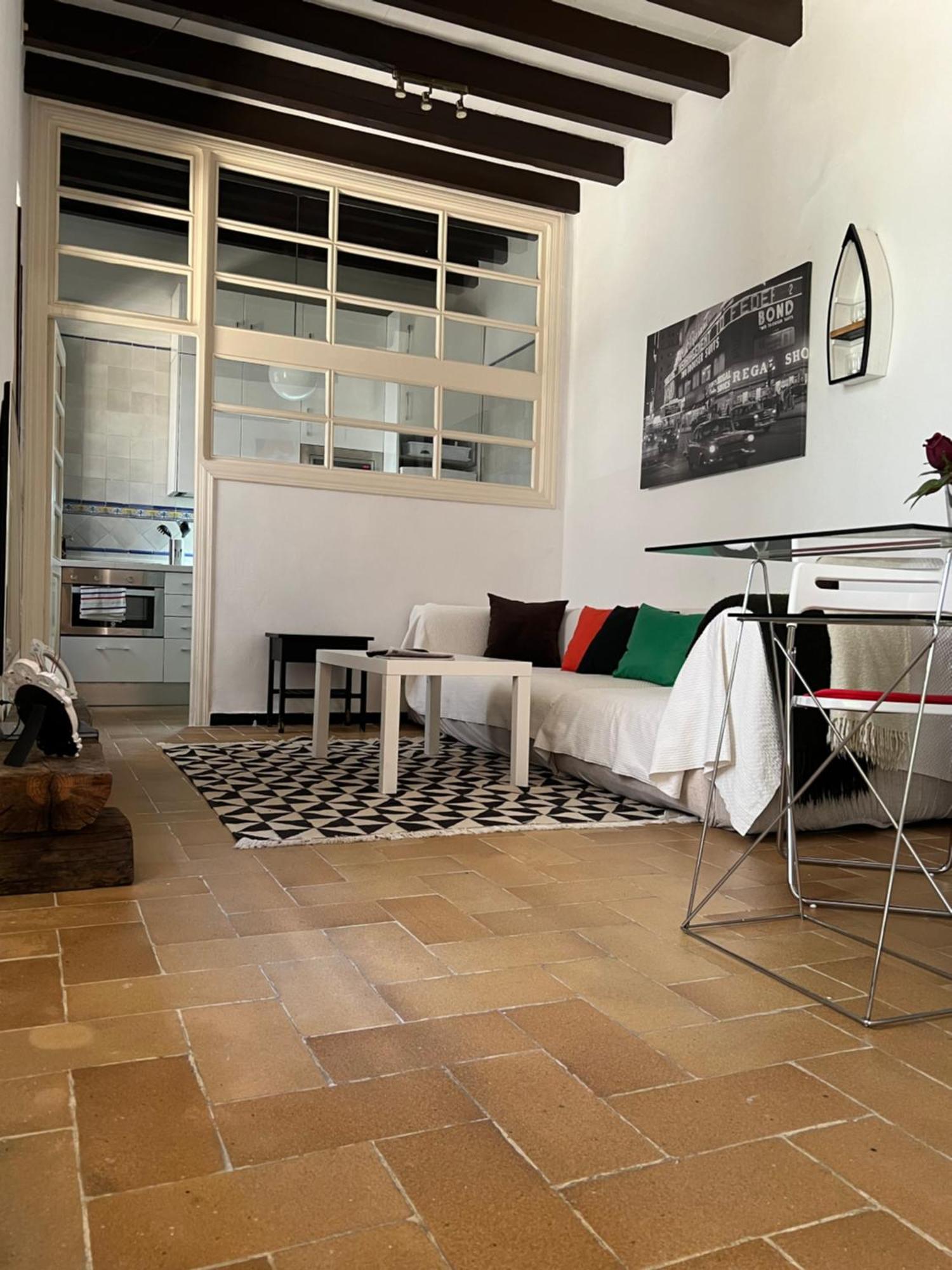Triana Castilla Rio In Unique Building Appartement